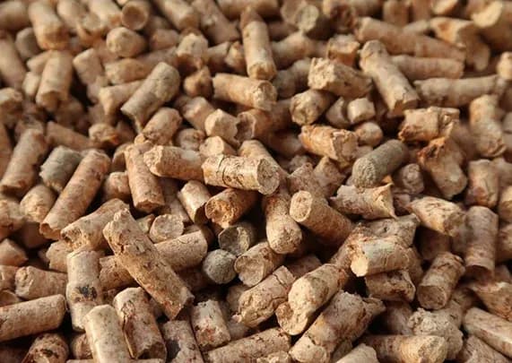 Gdzie kupić pellet lubelskie? Sprawdź najlepsze oferty i ceny Gdzie kupić pellet lubelskie? Sprawdź najlepsze oferty i ceny