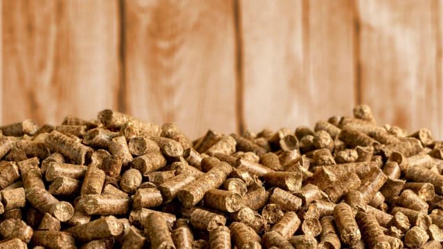 Gdzie kupić pellet w Czechach? Najlepsze miejsca, ceny i porady Gdzie kupić pellet w Czechach? Najlepsze miejsca, ceny i porady