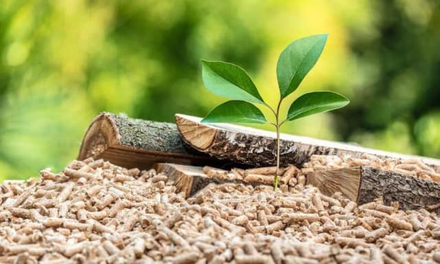 Co to jest pellet drzewny? Zastosowania, zalety i wady ekologicznego paliwa Co to jest pellet drzewny? Zastosowania, zalety i wady ekologicznego paliwa