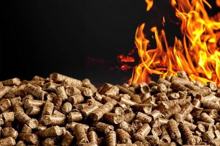 Z czego zrobić pellet? Najlepsze surowce i ich zastosowanie w produkcji Z czego zrobić pellet? Najlepsze surowce i ich zastosowanie w produkcji